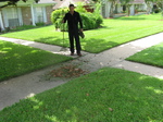 Easy Lawn Care will pick up, bag and remove leaves from your lawn.