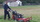 Grass being cut by Easy Lawn
