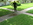 Easy Lawn takes a moment to look at their handiwork.